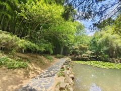-穹窿山景区
