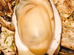 -土蚝·高压锅生蚝(百姓美食街店)