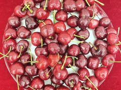 -颐而康·按摩·艾灸·足疗(汽车东站店)