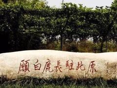 -白鹿原葡萄主题公园