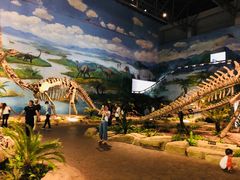 -自贡恐龙博物馆