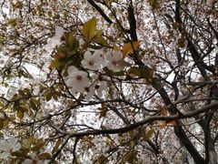 -山东师范大学(千佛山校区)