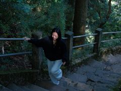 -天目山大树王景区