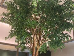 -榕意·川味之美(深业上城店)