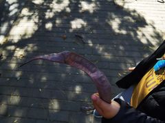 -长辛店二七公园