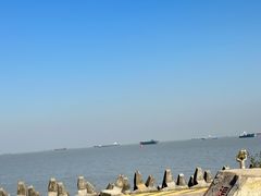 -上海滨江森林公园