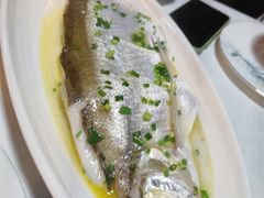 招牌清蒸钱塘江白条-柳莺湖上·湖景餐厅·江南菜(西湖店)