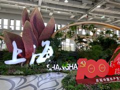 -东平国家森林公园