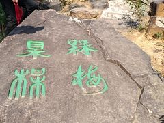 -香雪海