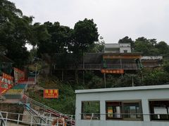 -羚羊峡古栈道森林公园