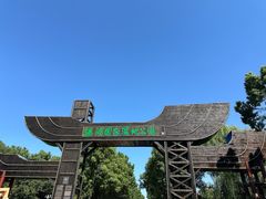 -溱湖国家湿地公园