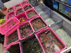 -众味海鲜大排档·活海鲜·潮汕味(南澳店)