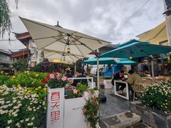 -春天里餐厅·云南创意菜特色美食(束河店)