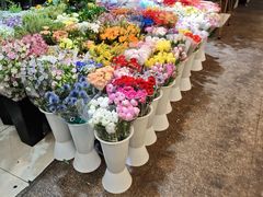 -双季花艺园艺市场(浦东店)