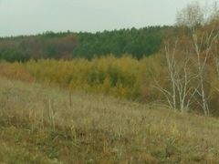 -塞罕坝国家级自然保护区