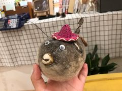 -白日梦奶茶
