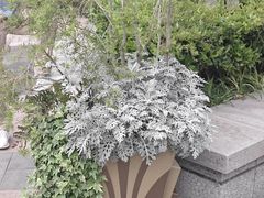 -比斯特上海购物村精品奥特莱斯