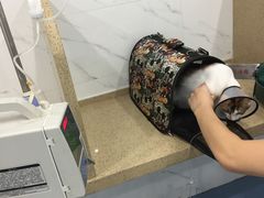 -伟伟宠物医院·CT影像中心·瑞派犬猫综合性门诊(汉口总院)