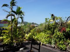-自然餐厅(Phuket)