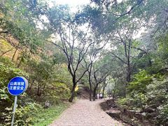 -青龙山风景区