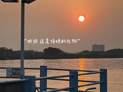 -鱼珠码头(轮渡站)