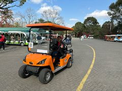 -上海海湾国家森林公园