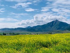 -扁都口生态休闲旅游区