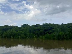 -东寨港红树林旅游区