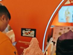 -野人先生现做冰淇淋(北京王府井东方新天地店)