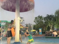 -苏州乐园森林水世界
