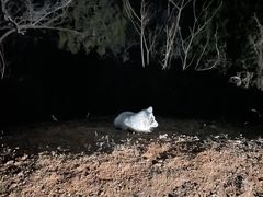 -鬼笑石后山停车场