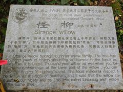 -燕子河大峡谷天坑仙境
