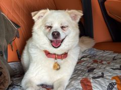 -米禾良日料(人民广场店)