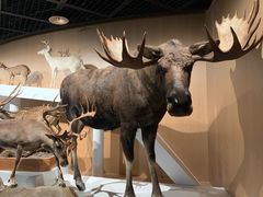 -陕西自然博物馆