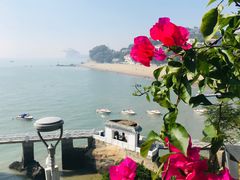 -鼓浪屿钢琴博物馆