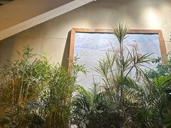 -大书房咖啡(中传国交店)