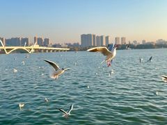 -蠡湖大桥公园