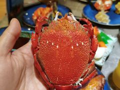-凯悦·东方公主号 全球海鲜自助餐厅(凯丹广场店)