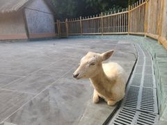 -金沙遗址博物馆