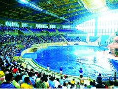 -多彩贵州城极地海洋世界