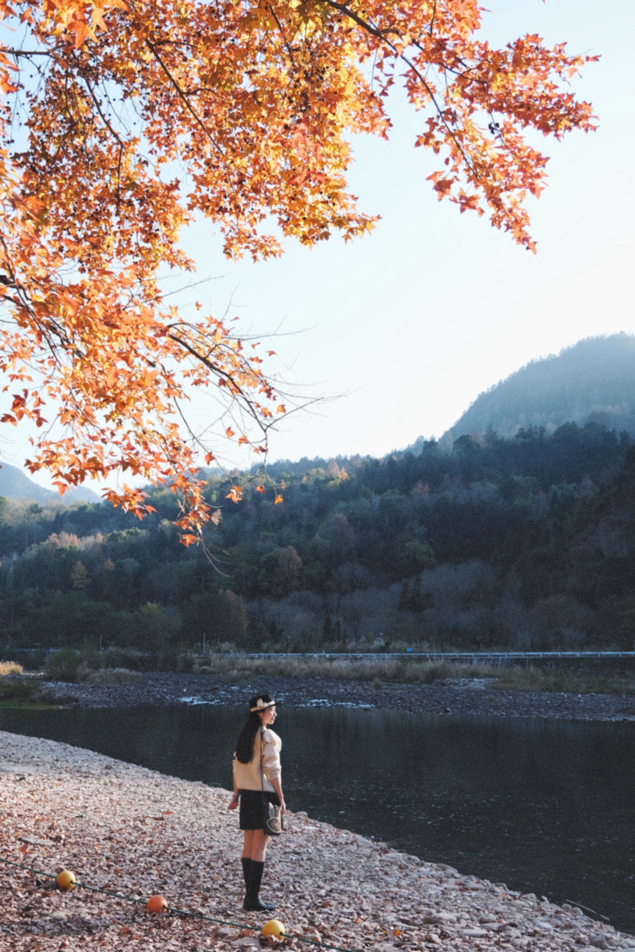 交换风景照🍂