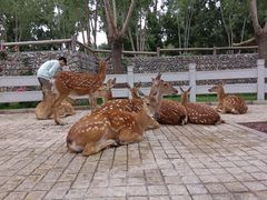 -北京野生动物园