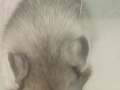 -怪兽屋·羊驼·猫咖·狗咖(俊华广场店)
