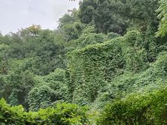-南京市江宁方山