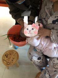 -小博士专业婴儿理发