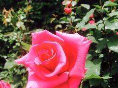 -北京西山国家森林公园