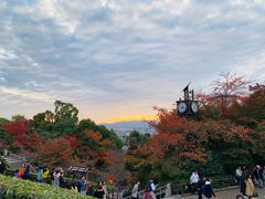 -有栖山 清光院 清水寺