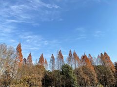 -蠡湖中央公园