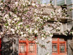 -元大都城垣遗址公园