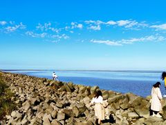 -南汇嘴观海公园